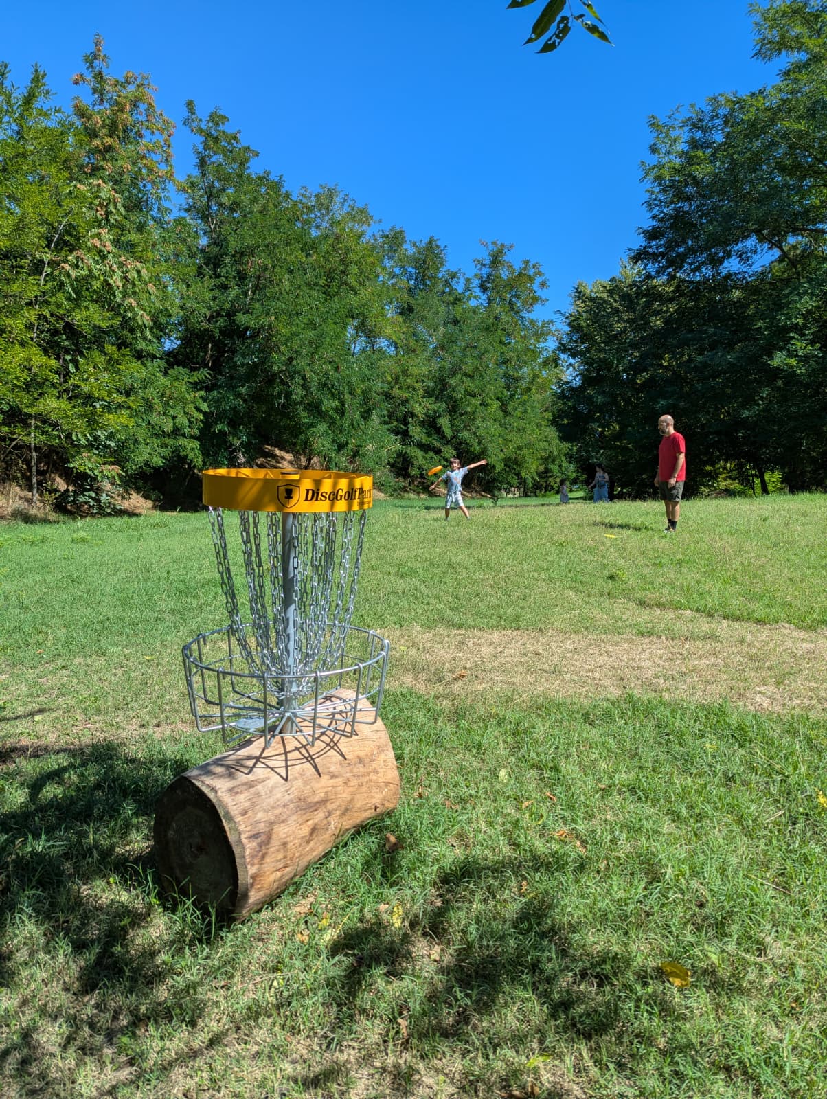Cos'è il disc golf