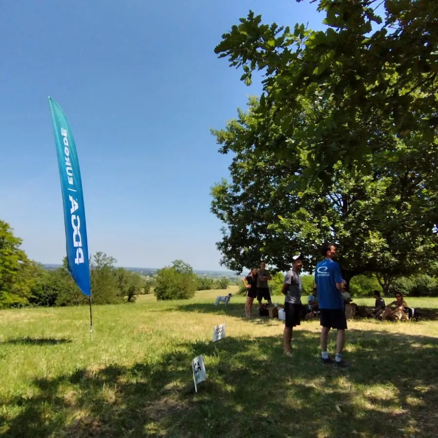 Tee delle Ginestre di Oriolo con le bandiere PDGA Europe e le colline romagnole sullo sfondo